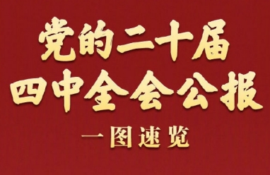 17643115502031